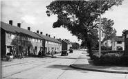 Red Lion Lane c.1955, Potter Street