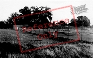 Playing Fields c.1955, Potton