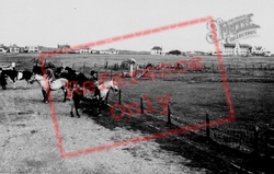 Golf Links c.1955, Prestatyn