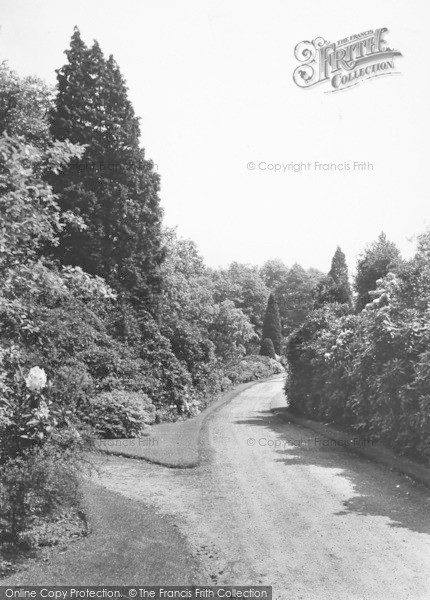 Photo of Prestbury, Hare Hill c.1950