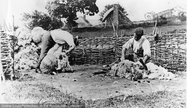 Photo of Preston Candover, Sheep Shearing At Oxells Farm c.1895