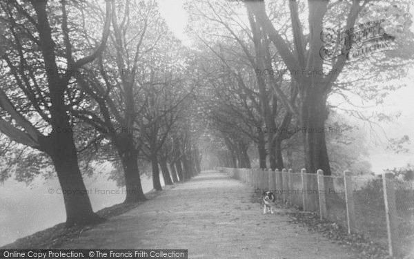 Photo of Preston, Miller Park, Chestnut Tree Walk c.1960
