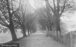 Miller Park, Chestnut Tree Walk c.1960, Preston