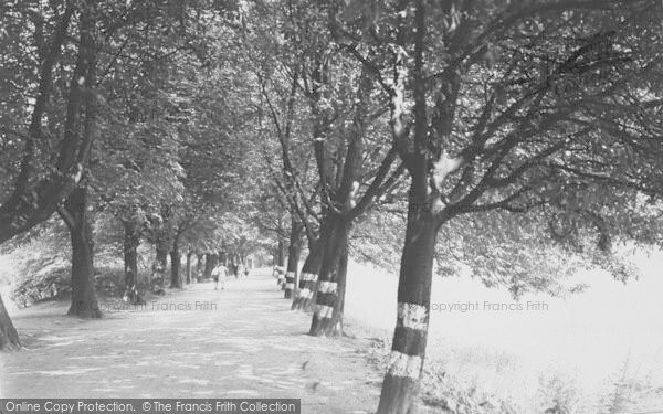 Photo of Preston, The Avenue And River Ribble c.1955
