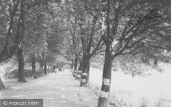 The Avenue And River Ribble c.1955, Preston