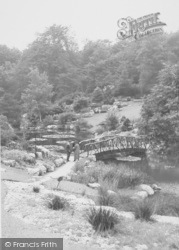 The Rockery, Miller Park c.1960, Preston