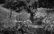 Heaton Park, The Stream c.1955, Prestwich
