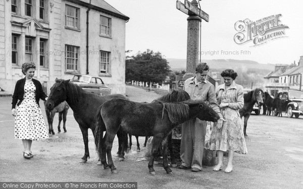 Photo of Princetown, Dartmoor Ponies c.1960