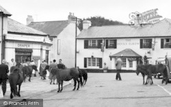 Dartmoor Ponies c.1960, Princetown