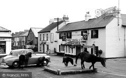 Dartmoor Ponies c.1965, Princetown