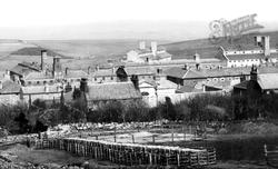 Dartmoor Prison 1890, Princetown