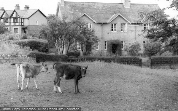 Photo of Puddletown, The Green 1959