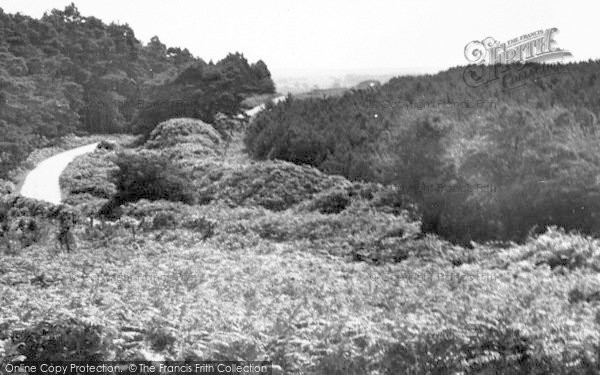Photo of Puddletown, The Heath c.1939