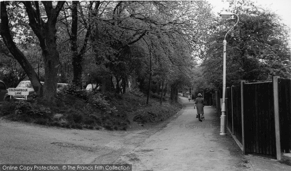Photo of Purley, Bridle Path, Coldharbour c.1965