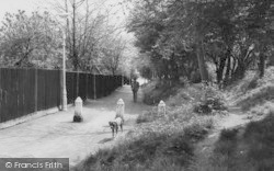 Bridle Path, Coldharbour Lane c.1965, Purley