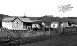 Purley, Bungalows, Colyton Way c.1950, Purley On Thames