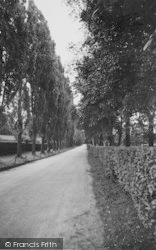 Promenade De Verdun c.1960, Purley