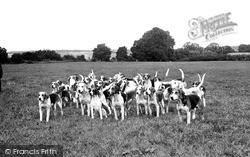 Purley, The South Berkshire Foxhounds c.1960, Purley On Thames