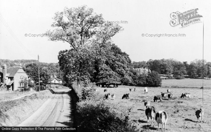 Photo of Puttenham, Suffield Lane c.1955