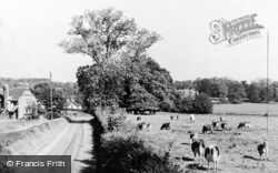 Suffield Lane c.1955, Puttenham