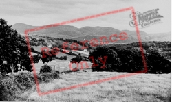 Pwll-Glas, View From The Hill c.1955, Pwll-Glâs