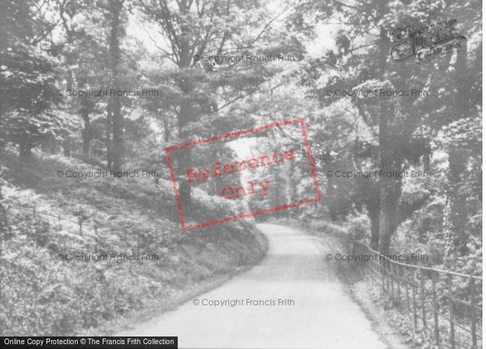 Photo of Pwll, Stradley Woods c.1955