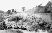 Marlas Mill 1936, Pyle
