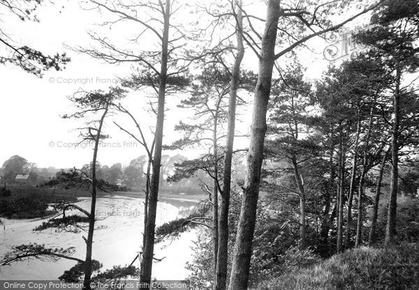 Photo of Radipole, Lake 1898