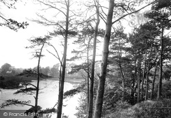 Lake 1898, Radipole