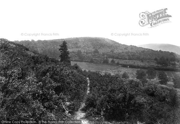 Photo of Rake, 1901