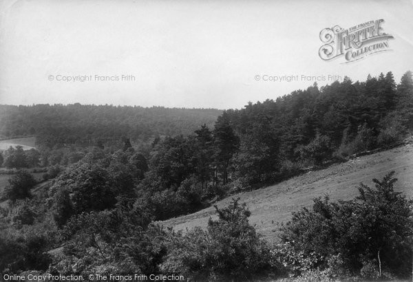 Photo of Rake, 1901