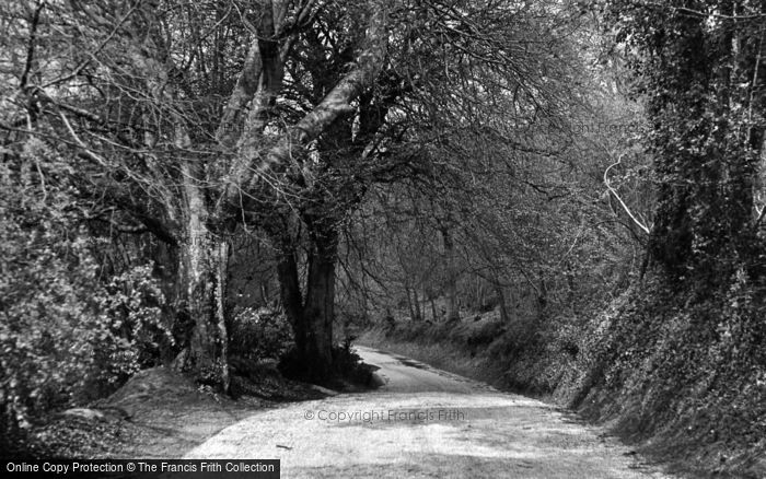 Photo of Rake, Beech Hill c.1955