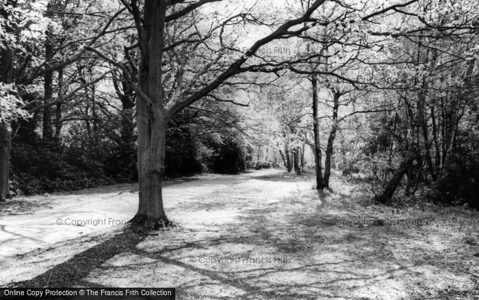 Photo of Rake, Road To Milland Church c.1960