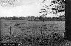 View From Coldharbour c.1955, Rake