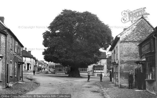 Photo of Ramsbury, Tree In The High Street 1906