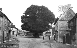 Tree In The High Street 1906, Ramsbury