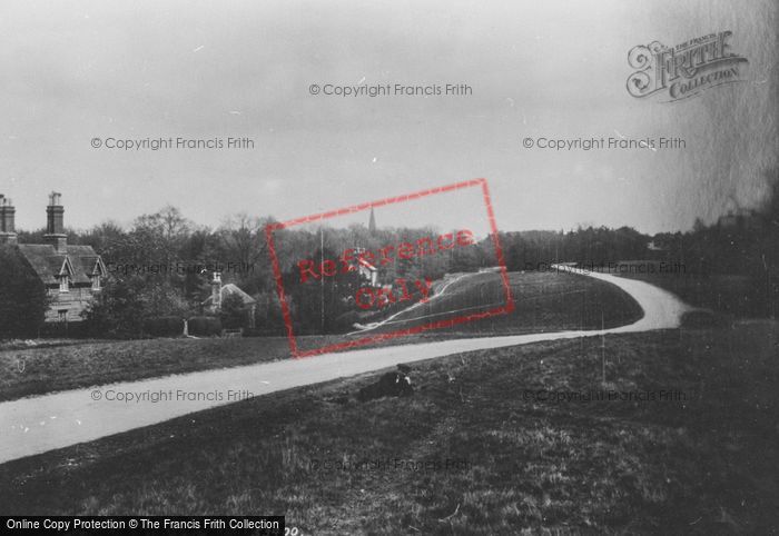 Photo of Ranmore Common, 1906