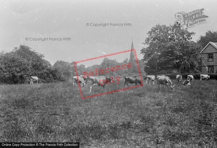 Photo of Ranmore Common, 1915