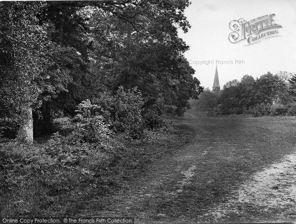 Photo of Ranmore Common, 1925
