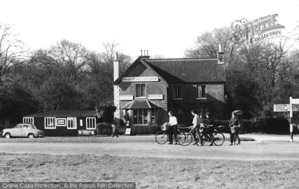 Photo of Ranmore Common, c.1965