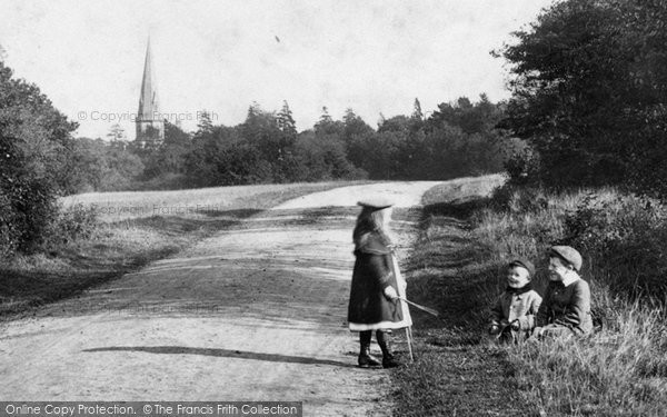Photo of Ranmore Common, Children In Ranmore Lane 1906