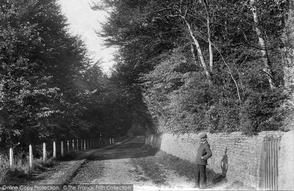 Photo of Ranmore Common, Dorking Road 1906