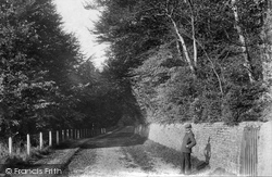 Dorking Road 1906, Ranmore Common
