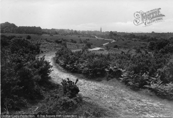 Photo of Ranmore Common, Pathway 1915
