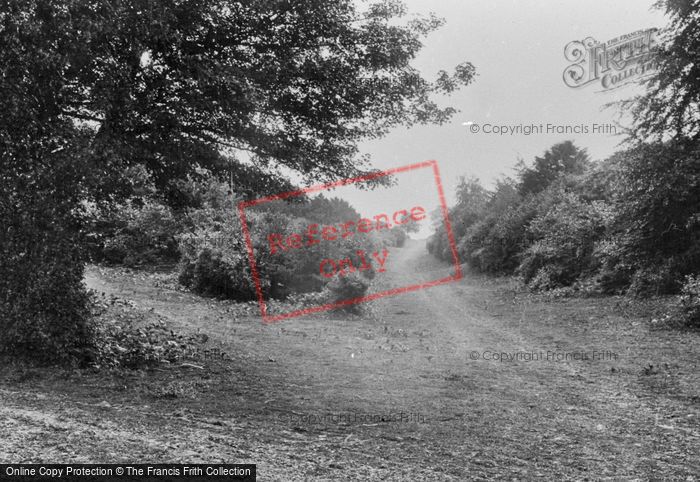 Photo of Ranmore Common, Pathway From Keepers Lodge 1915