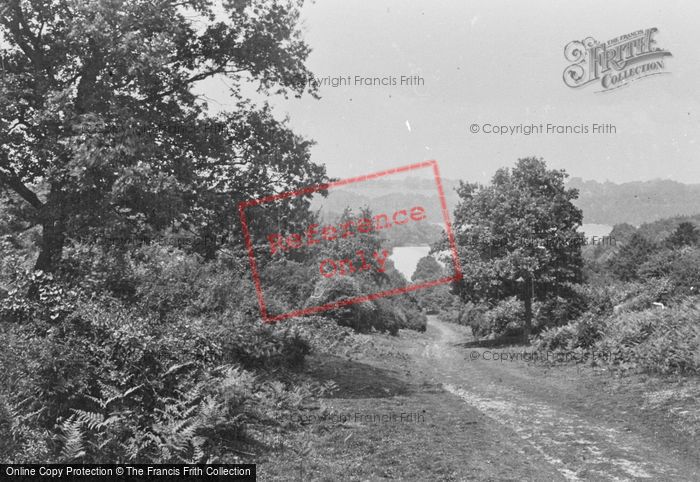 Photo of Ranmore Common, Pathway To Keepers Lodge 1915