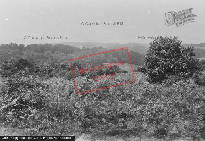 Photo of Ranmore Common, Polesdon 1915