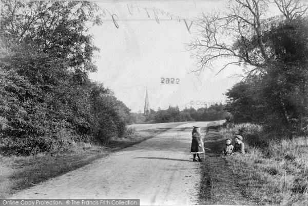 Photo of Ranmore Common, Ranmore Lane 1906