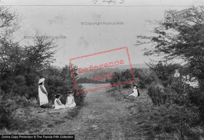 Photo of Ranmore Common, The Common 1906