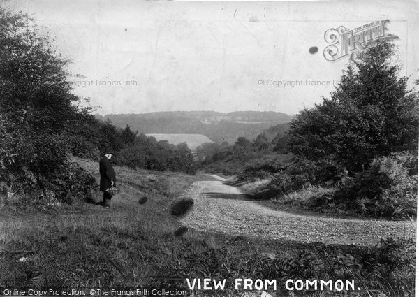 Photo of Ranmore Common, View From Common 1906